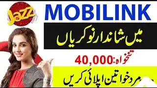 Mobilink Finance Bank Jobs 2022 || Apply Now