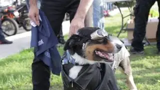 Join RSPCA Ruff Riders - Saturday 18 March 2017