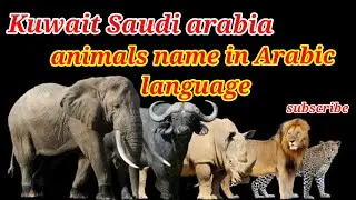 animals name in Kuwait and Sudi Arabic language..|कुवैत अरबी भाषा में जानवरों के नाम