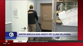 Livonia animal wellness center faces uncertain future after devastating flood