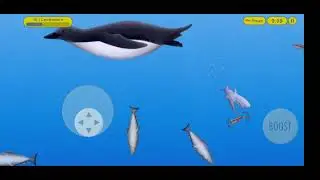 Tasty Blue: Tale Of A Shark