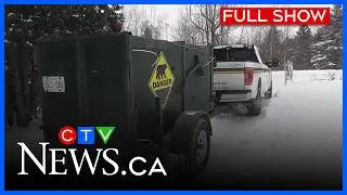 Ontario seizes 15 hybrid wolf-dogs | CTV News Northern Ontario at Five for Dec. 10, 2025