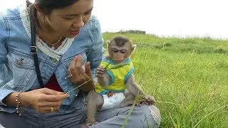 Baby Monkey Mori | Special Day Mom Take Mori To Get Fresh Air And Fresh Life