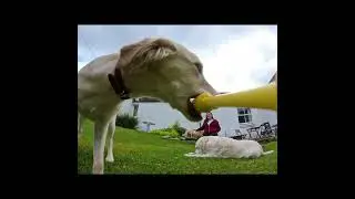 Insta360 GO3S with Fetch Stick - attempt 2