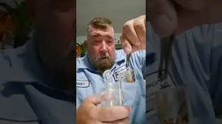 a follow-up about the dabtabs🔥⛽️