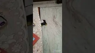 Arduino based blutooth car/ blutooth control car
