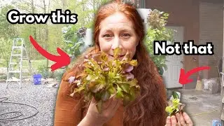 The number one mistake when growing on a Tower Garden: How to grow huge plants quickly.