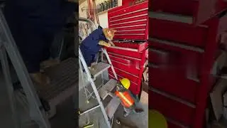 Cats Working #reels #cat #catvideos #funnycatvideos #shorts #trendingshorts #ytcat #funny #cute