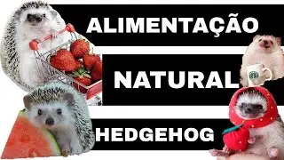 Alimentação Natural para hedgehog - Ouriço pigmeu Africano