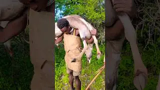 Respect 👉 wild tribe found the kudu#wildlife