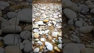 Finding Beautiful Agate