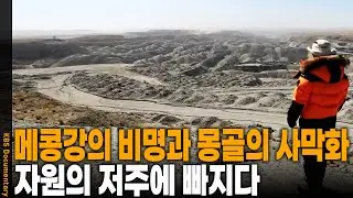 강은 마르고 밀림은 사라지고... 경제 발전이라는 이름 뒤에 숨겨진 환경오염의 그늘 | KBS 20140517 방송