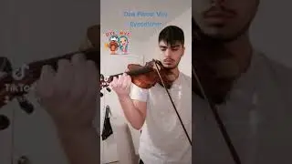 One Piece - Vivi Eyecatcher (Violin cover)