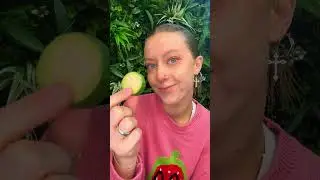 Have you ever tried a FEIJOA fruit? 😋 #ExoticFruits