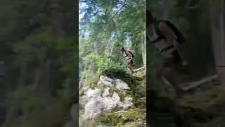Professional BASE jumper in Switzerland🤘🏻🤙🏻#shorts