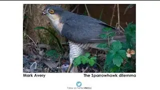 Controversial Conservation Part 2