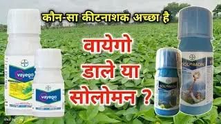 Bayer vayego और Bayer Solomon मे से अच्छा कीटनाशक कौन-सा है / vayego डाले या फिर Solomon