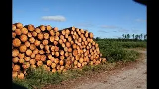 14# Comment trouver du bois de chauffage sans l'acheter dans le commerce ?