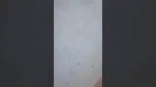 حدي ابوحسن الخزعلي الصكراوي لايك وشتراك