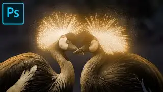 Glowing Bird | Photo Manipulation | Photoshop Tutorial