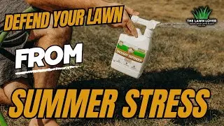 TURF TITAN: Defend Your Lawn from Summer Stress! #diylawncare