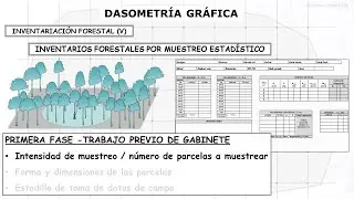 MUESTREO PILOTO Y TAMAÑO DE MUESTRA, EN UN INVENTARIO FORESTAL