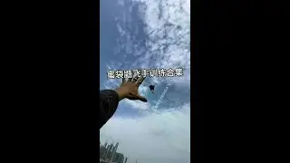 Try Something New #Boomerang Hand #Daily Life of Cute Pets #Little Flying Squirrel