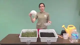 Erosion in the Zone