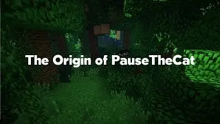 The Origin of PauseTheCat (1K Special Part 1)