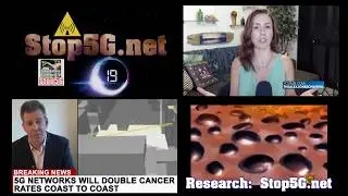 Lee Ann McAdoo Stop5G Report