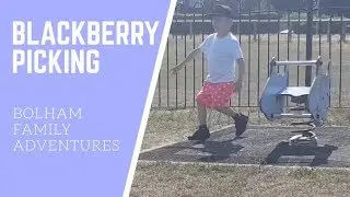 BLACKBERRY PICKING | BOLHAM FAMILY ADVENTUES  #IAmACreator