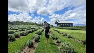1st day at the farm - Boonah QLD