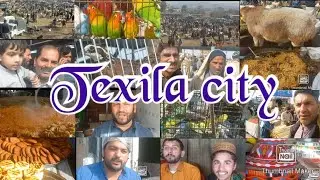 Pakistan's famousTexila city StreetFood Hotel stoneware Birds Market Fruit vegetable  cattle market 