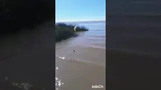 23/08/25 pesca en el parador 12(punta lara)