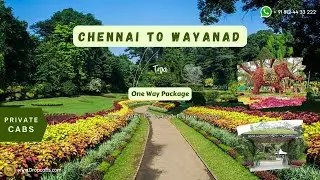Chennai to Wayanad Taxi | Safe & Affordable #chennaicabservice #outstationtaxi #wayanad #oneway