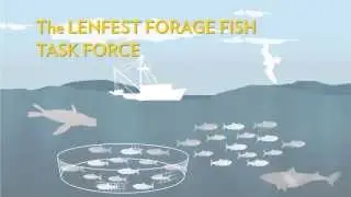 Fisheries Management: It's Better with Predators | Pew