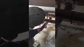 Stop Using OLD Looms! Modern Alat Tenun Techniques Revealed