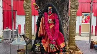 🔴Live Darshan 🚩🔱 Maa Aghorakaali Abhishekkam at Sri jai aghorakaali temple 🛕 Tiruchirappalli 🔱🚩