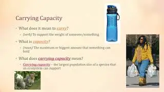 Carrying Capacity