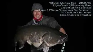 130cm Surface Murray Cod - Release Video