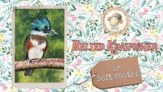 SOFT PASTEL PAINTING, BELTED KINGFISHER #softpastel #softpastelpainting #animalportrait