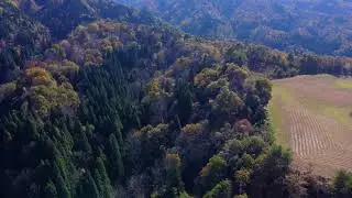 Yamakoshi and Higashi Yama in Autumn