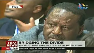 The 'Handshake' journey to the BBI Report