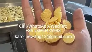 high capacity automatic breakfast cereal corn flakes line cornflakes making machine #cornflakes #dg