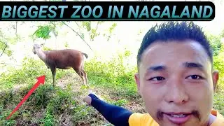 Biggest & Famous Zoo in Nagaland||Nagaland Zoo