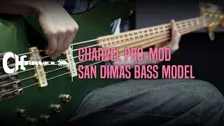 Charvel PRO-MOD SAN DIMAS Bass JJ V Model Demo - &lsquo;Jungle of the City&rsquo; by Bassist 손제원 (Jewon Son)