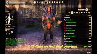 Elder Scrolls Online - 5600 Gold on First Day and Level Ten!
