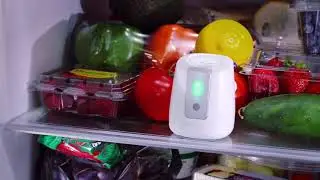pureAIr FRIDGE - оригинальное видео (включите русские субтитры)