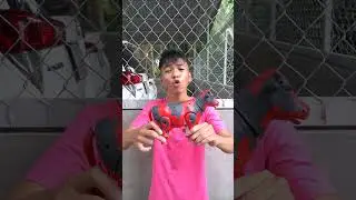 ACR - Con b&ograve; của ai xịn hơn || Battle of the cow