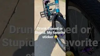 Drunk stoned or stupid. #bmx #ride #bikes #ridebmx #stl #fy #shorts #shortvideo #yt #satisfying